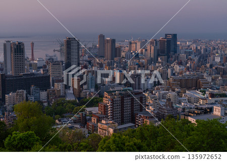 Hyogo Prefecture: Kobe Venus Bridge and Suwayama Park Observatory at dawn Hyogo Prefecture: Kobe Venus Bridge and Suwayama Park Observatory at dawn 135972652
