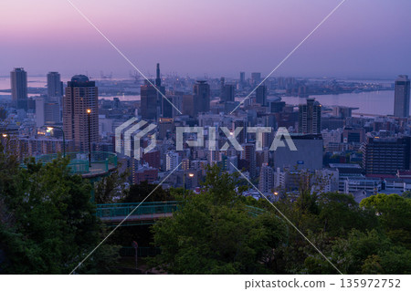 兵庫縣：黎明前神戶維納斯橋與諏訪山公園展望台的夜景 135972752