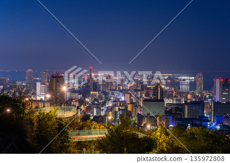 兵庫縣：黎明前神戶維納斯橋與諏訪山公園展望台的夜景 135972808