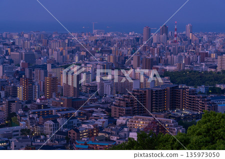 兵庫縣:黎明前神戶維納斯橋與諏訪山公園展望台的夜景 兵庫縣:黎明前神戶維納斯橋與諏訪山公園展望台的夜景 135973050