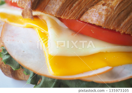Delicious sandwich with cheese, tomato, and lettuce Delicious sandwich with cheese, tomato, and lettuce 135973105