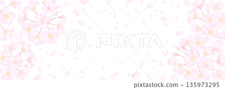 Vector illustration of delicate cherry blossoms on a white background 135973295