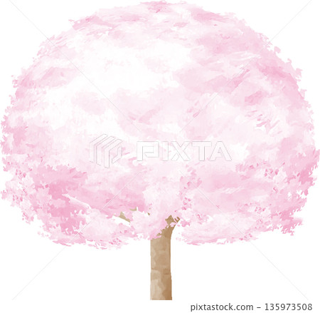 手繪水彩櫻花盛開插圖。非常適合賞櫻或開學慶典等場合。日式向量素材。 135973508
