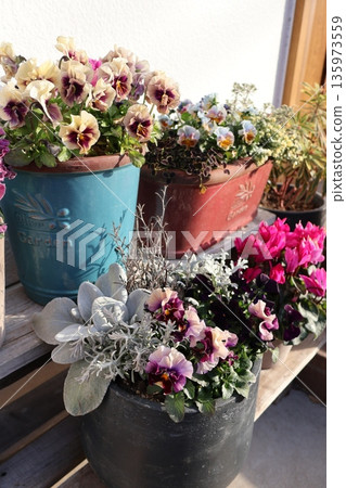 Flower arrangements and pots at the entrance Flower arrangements and pots at the entrance 135973559
