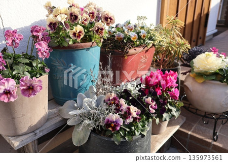 入口處的花卉擺設和盆栽 入口處的花卉擺設和盆栽 135973561