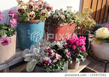 入口處的花卉擺設和盆栽 135973562