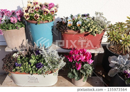 花卉擺設和花盆，配上花架 135973564
