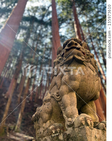 光線與森林中供奉的石獅子雕像形成鮮明對比。 135973610