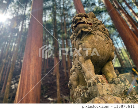 光線與森林中供奉的石獅子雕像形成鮮明對比。 光線與森林中供奉的石獅子雕像形成鮮明對比。 135973611