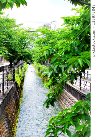 Sakura Onsen Street (summer) Sakura Onsen Street (summer) 135973845