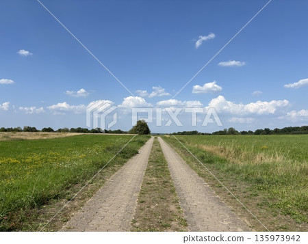 一條筆直的鄉村公路，似乎永遠延伸下去。 135973942