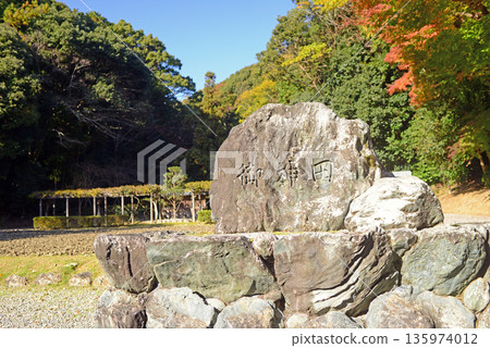 The sacred rice field at Sarutahiko Shrine in Ise City, Mie Prefecture 135974012