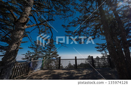 Breathtaking viewpoint on a wooden deck overlooking a majestic sea of clouds and alpine pine forest under a clear blue sky. Perfect for travel and nature concepts 135974126