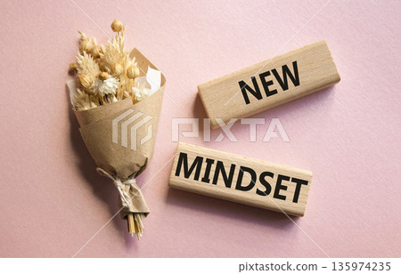 Mindset symbol. Wooden blocks with words New Mindset. Beautiful pink background. Business and New Mindset concept. Copy space. 135974235