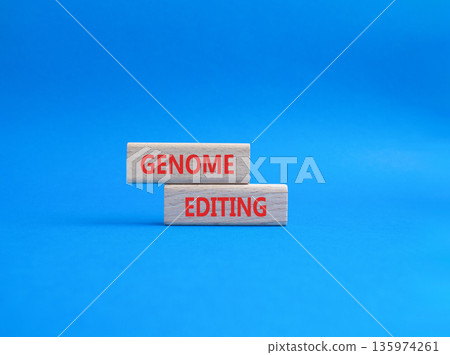 Genome Editing symbol. Wooden blocks with words Genome Editing. Beautiful blue background. Genetics and Genome Editing concept. Copy space. 135974261