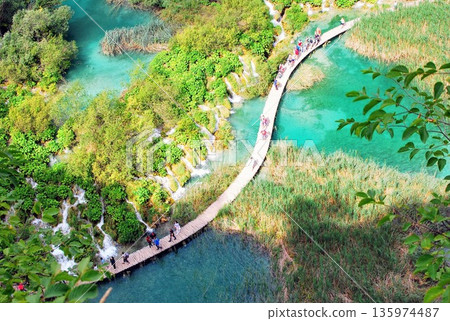 The beautiful natural beauty of the park The beautiful natural beauty of the park 135974487