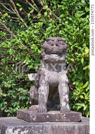 Komainu (guardian dogs) at Tsurugaoka Hachimangu Shrine (Kamakura, Kanagawa Prefecture) Komainu (guardian dogs) at Tsurugaoka Hachimangu Shrine (Kamakura, Kanagawa Prefecture) 135974773