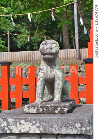 Komainu (guardian dogs) at Tsurugaoka Hachimangu Shrine (Kamakura, Kanagawa Prefecture) 135974774