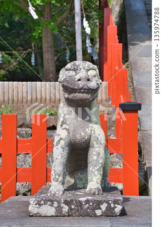 Komainu (guardian dogs) at Tsurugaoka Hachimangu Shrine (Kamakura, Kanagawa Prefecture) 135974788