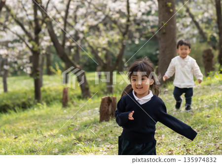 兄弟在公園裡玩 兄弟在公園裡玩 135974832