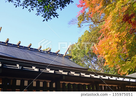 三重縣伊勢市猿田彥神社屋頂和秋葉-4 135975051