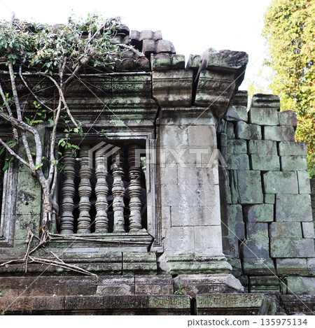 吳哥窟崩密列遺址 135975134