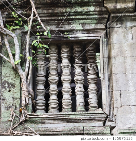 吳哥窟崩密列遺址 135975135