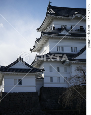 Odawara Castle in the backlight Odawara Castle in the backlight 135975289