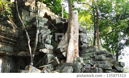 Angkor Wat Beng Mealea ruins Angkor Wat Beng Mealea ruins 135975313