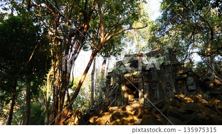 吳哥窟崩密列遺址 吳哥窟崩密列遺址 135975315