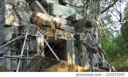 Angkor Wat Beng Mealea ruins 135975347