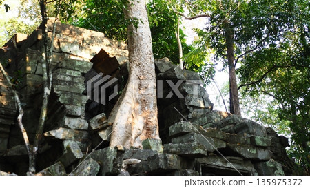 Angkor Wat Beng Mealea ruins Angkor Wat Beng Mealea ruins 135975372