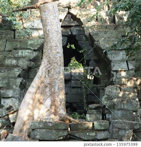 Angkor Wat Beng Mealea ruins 135975399