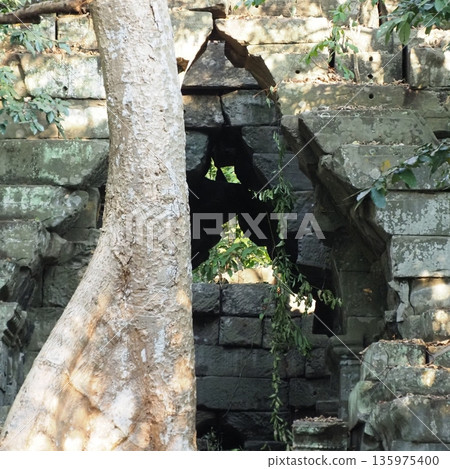 Angkor Wat Beng Mealea ruins Angkor Wat Beng Mealea ruins 135975400