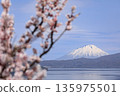 從北海道壯別町壯別公園眺望羊蹄山和洞爺湖，周圍環繞著盛開的梅花（五月） 135975501