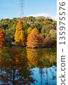 五彩斑斕的秋葉倒映在水面上，構成了一幅美麗的湖畔景色。 135975576