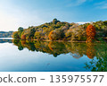 美麗的秋葉和藍天倒映在湖面上。 135975577