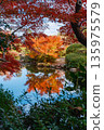 五彩斑斕的楓葉倒映在水面上，構成了傳統日式庭園的景象。 135975579