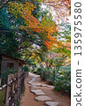 傳統竹籬笆和美麗的秋葉 135975580