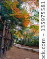 日式花園中，竹籬笆和石板路被秋葉環繞。 135975581