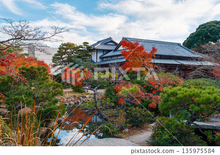 日式花園中傳統的瓦屋頂和絢麗的秋色 135975584