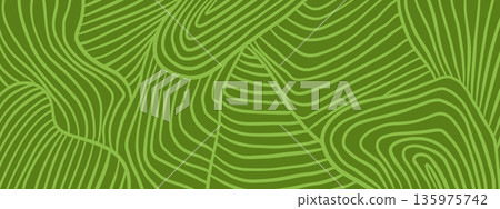 Green vineyard pattern and farm field texture for wine background or agriculture landscape in eco design. Green vineyard pattern and farm field texture for wine background or agriculture landscape in eco design. 135975742