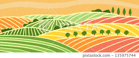 Abstract vineyard hills pattern. Colorful striped farm fields with trees and bushes. Abstract illustration with vintage texture 135975744