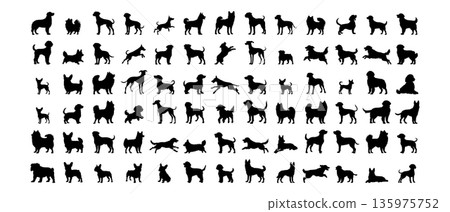 Dogs silhouette in different poses isolated on white background. 135975752