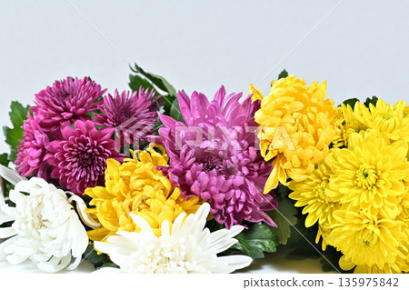 Chrysanthemum flower funeral image 135975842