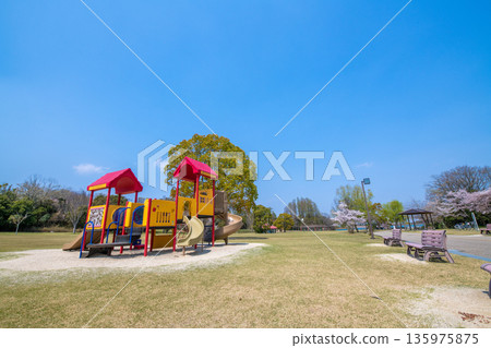 Image of the park in spring at Suzuka Youth Forest, Suzuka City, Mie Prefecture 135975875