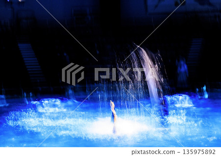 Aquarium dolphin show 135975892