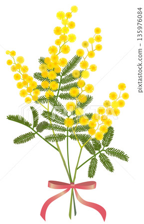 Mimosa bouquet (pink ribbon) Mimosa bouquet (pink ribbon) 135976084