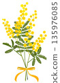 Mimosa bouquet (yellow ribbon) 135976085