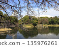 Koishikawa Korakuen Sakura東京 135976261